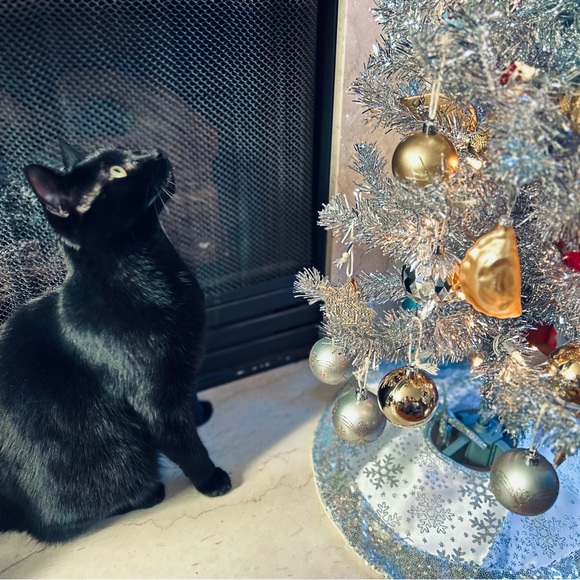 Shop our mom's closet! 😻😻😻 - Picture 2 of 16